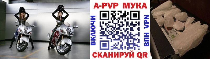 A PVP СК КРИС Рубцовск