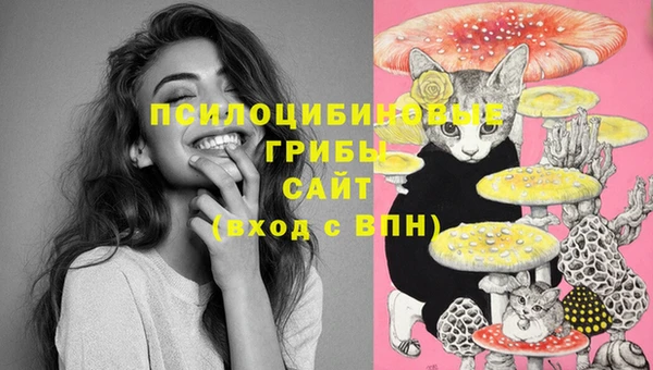 меф Арсеньев
