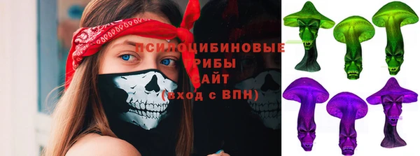 меф Арсеньев