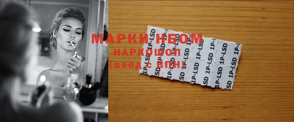 стафф Аркадак