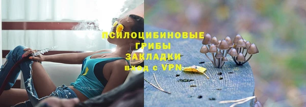 гидропоника Абаза