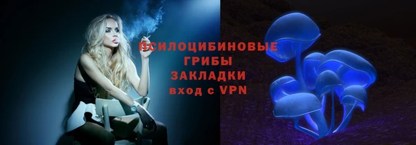 стафф Аркадак