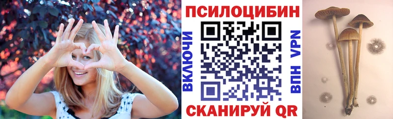 Галлюциногенные грибы прущие грибы  Рубцовск 